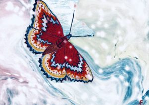 Claud4Art - Kunst und Galerie in Neuss